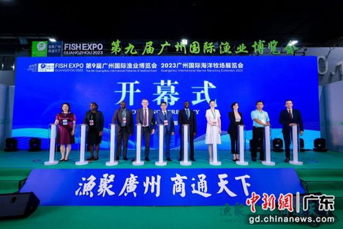廣州國(guó)際漁博會(huì)集中呈現(xiàn)全品類水產(chǎn) 生猛海鮮亮相