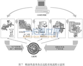 RFID食品追溯管理系統解決方案 安全系統監控服務的創新與應用